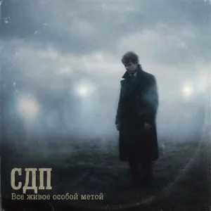 СДП