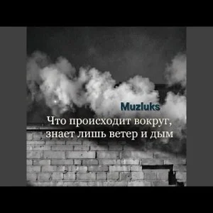 Muzluks