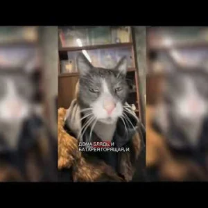 Егор Ягуар
