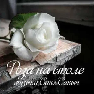 Саня Саныч.